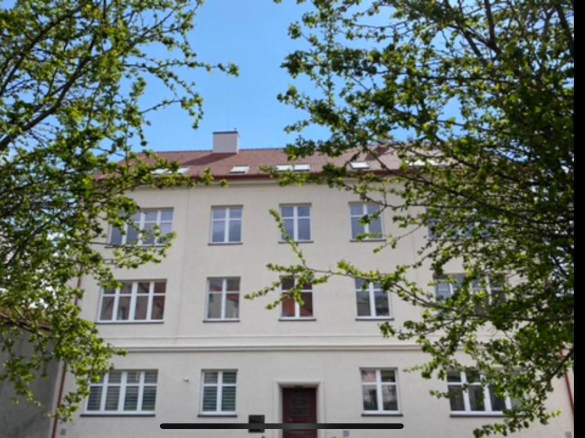 Apartament 3 Pokojowy Z Parkingiem Apartment Zabkowice Slaskie Ngoại thất bức ảnh